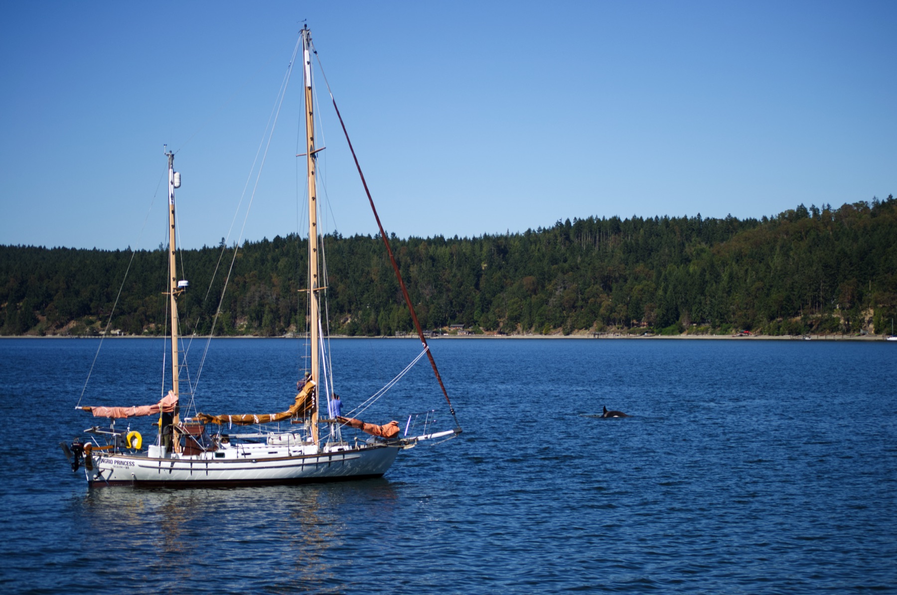 Sailboat on calm water