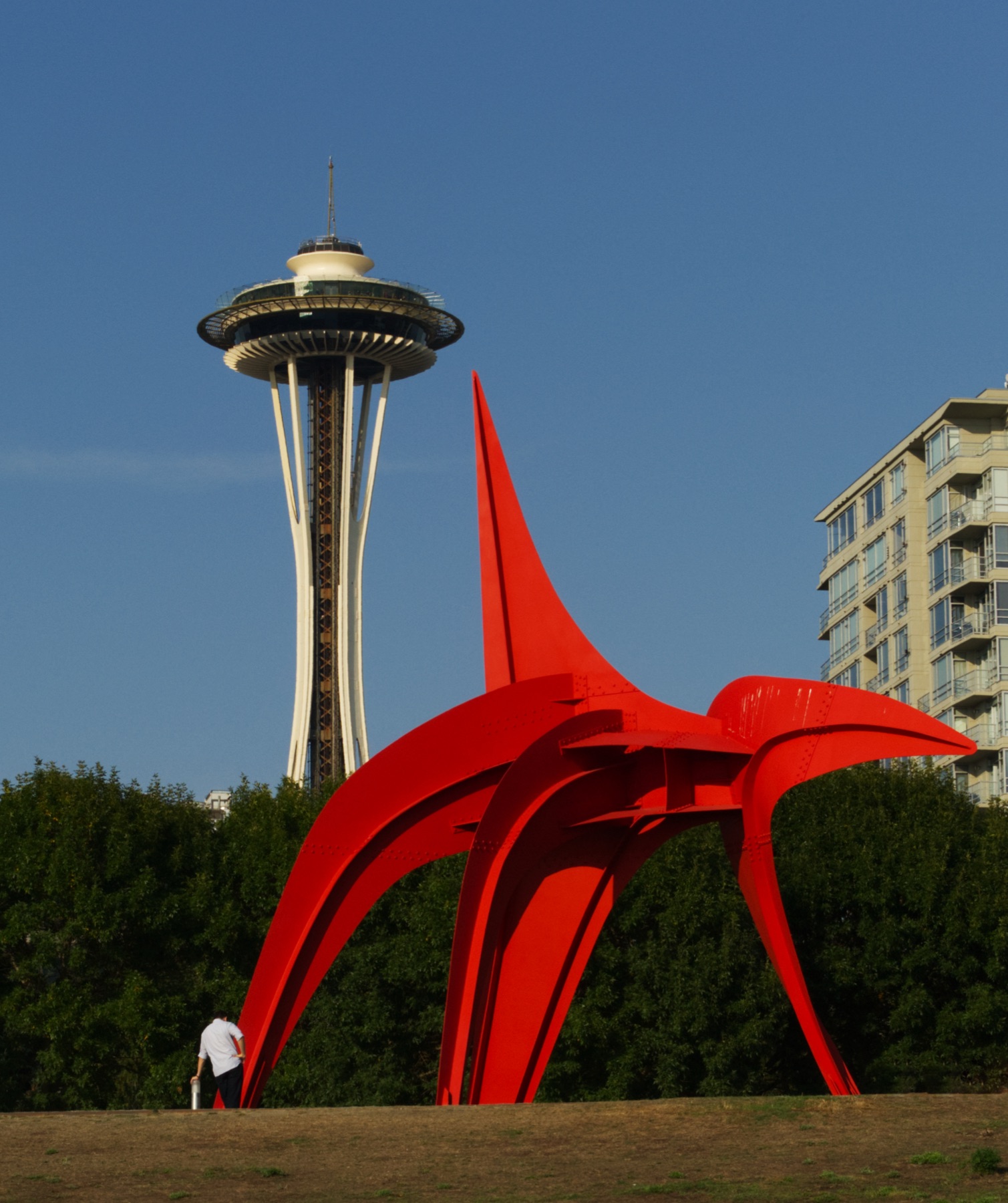 Space Needle and the Eagle sculpture, Seattle