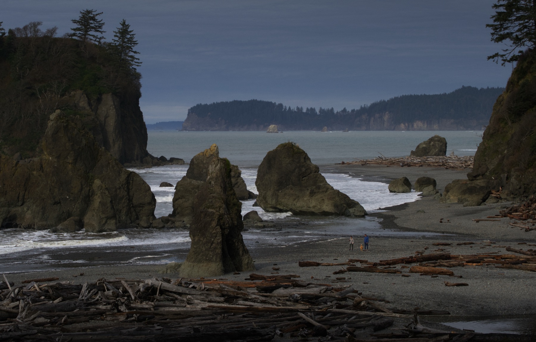 Sea stacks and driftwood on a rocky beach